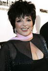 Liza Minnelli photo